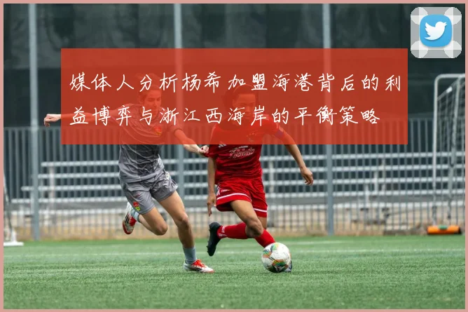 媒体人分析杨希加盟海港背后的利益博弈与浙江西海岸的平衡策略