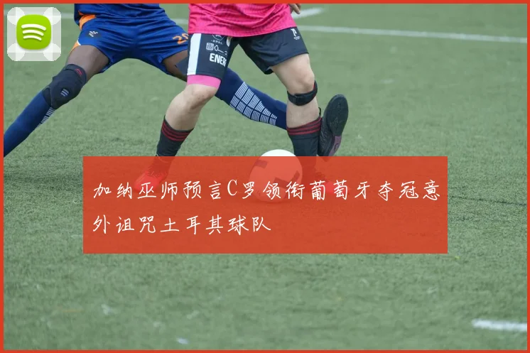 加纳巫师预言C罗领衔葡萄牙夺冠意外诅咒土耳其球队